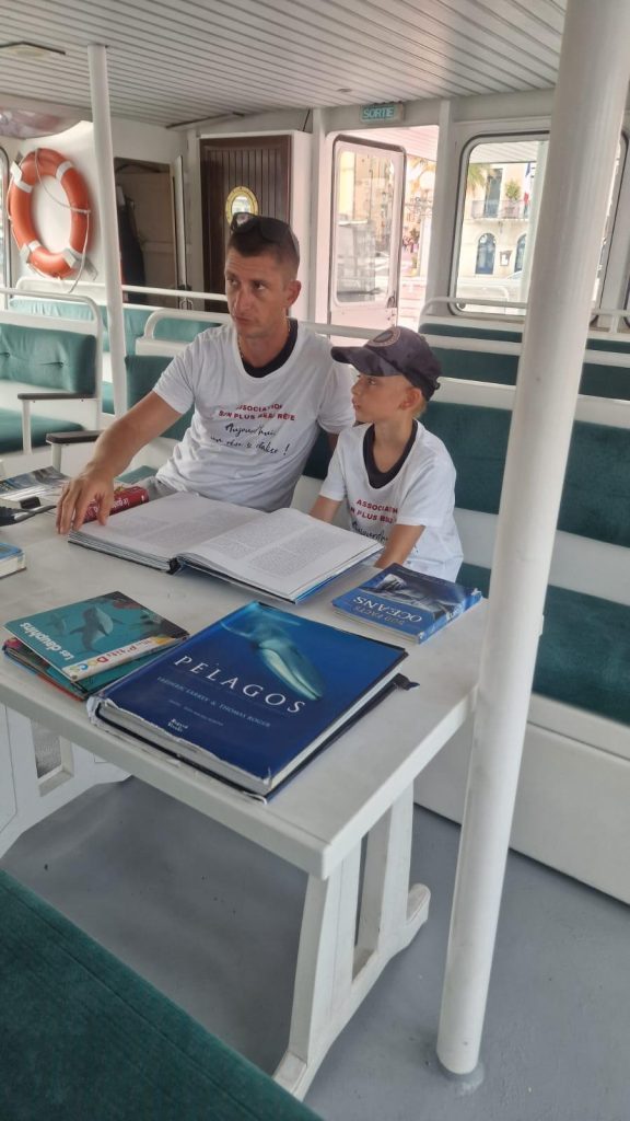 son-plus-beau-reve-clement-baleine-et-dauphin-dans-l-ocean-6