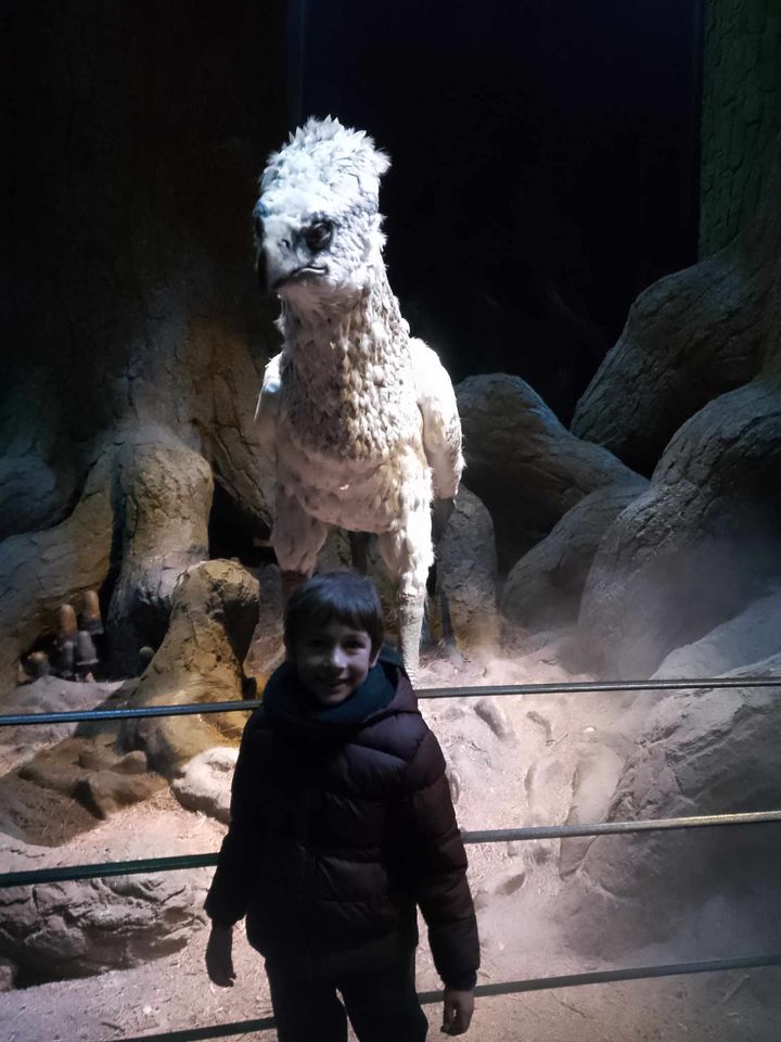 son-plus-beau-reve-gerault-harry-potter-10